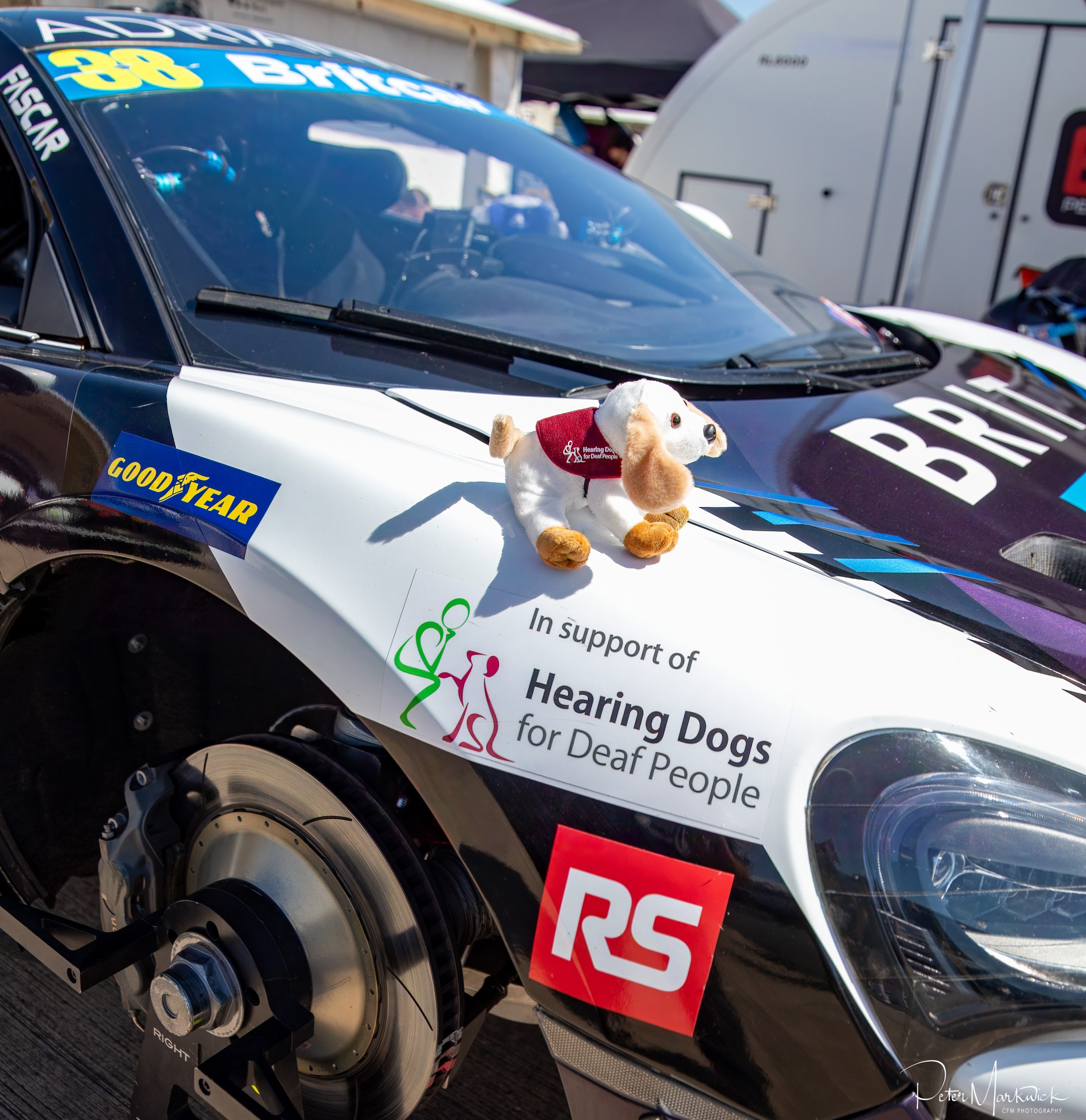 Team BRIT supports hearing dogs charity